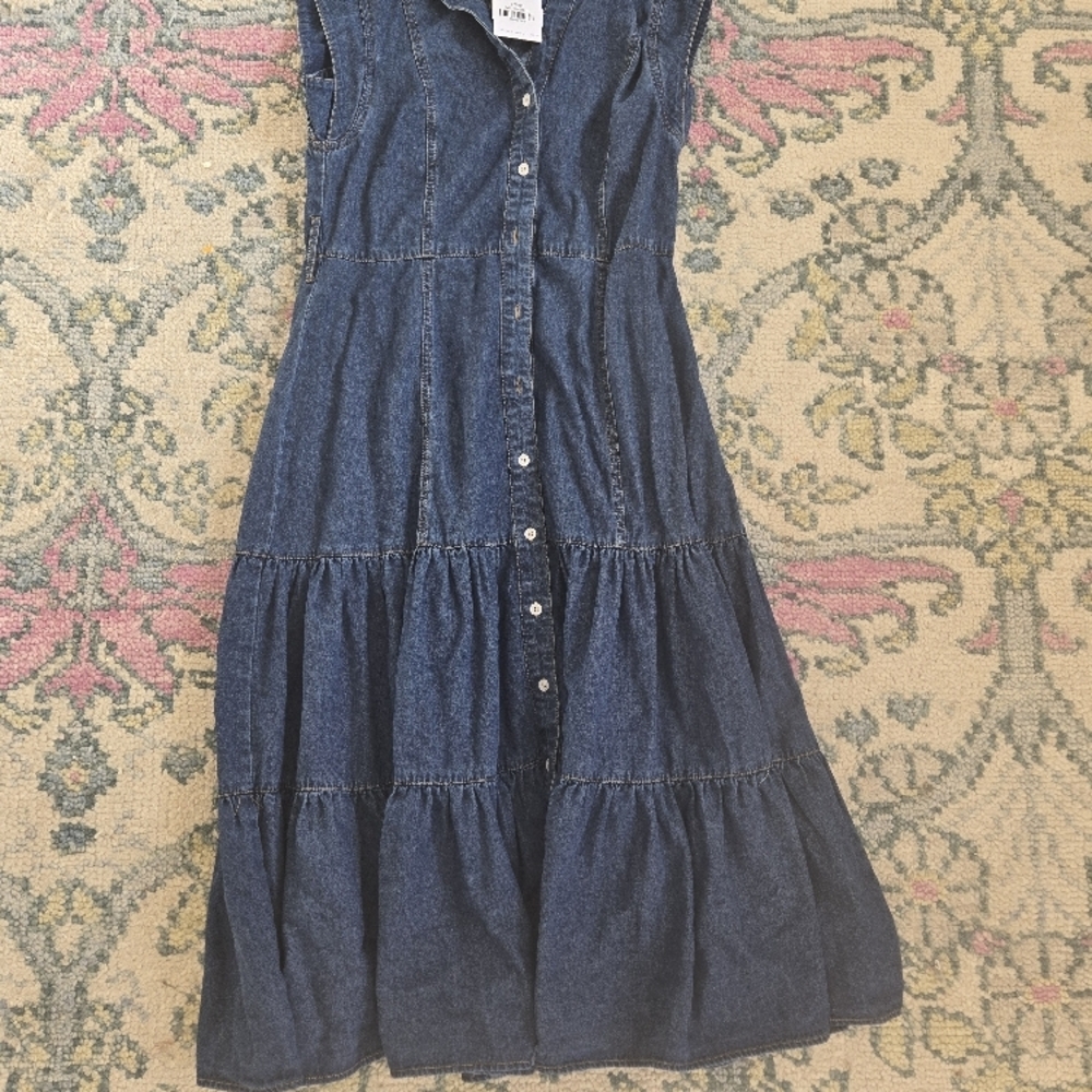 Denim Sleeveless Button-Down Dress